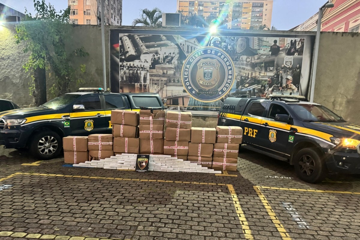Maconha estava prensada em formato de tabletes/Foto: PRF/ Divulgação