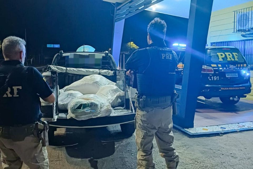 Drogas estavam dentro de sacos de ração animal /Foto: Divulgação/PRF