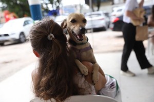 A estrutura itinerante tamb&eacute;m far&aacute; implanta&ccedil;&atilde;o de microchip e medica&ccedil;&atilde;o p&oacute;s-operat&oacute;ria

