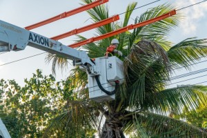Mais de 350 mil podas preventivas foram realizadas