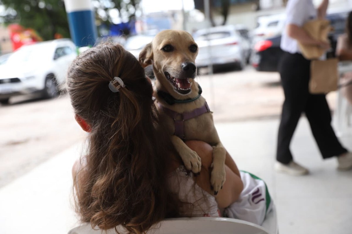 A estrutura itinerante também fará implantação de microchip e medicação pós-operatória
/Fotos: Tarciso Augusto/Semas