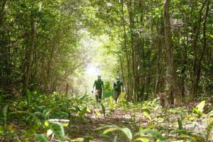 A forma&ccedil;&atilde;o tamb&eacute;m abordar&aacute; o funcionamento dos ecossistemas e a conserva&ccedil;&atilde;o da biodiversidade