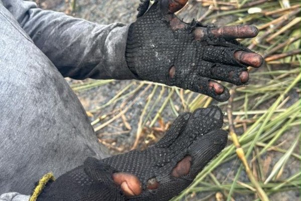 Mais de 800 trabalhadores s&atilde;o encontrados em situa&ccedil;&atilde;o irregular em canaviais de PE