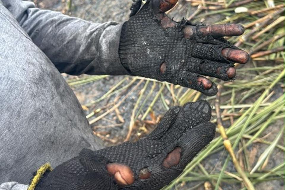 Mais de 800 trabalhadores são encontrados em situação irregular em canaviais de PE/Foto: Divulgação/MTE