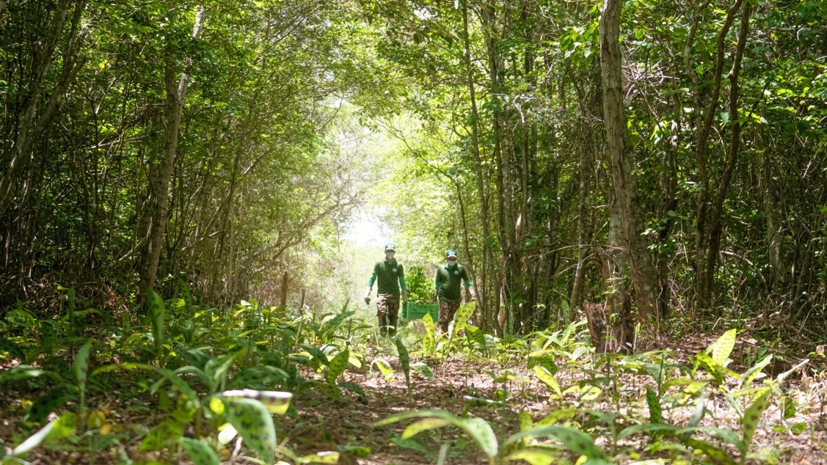 A formação também abordará o funcionamento dos ecossistemas e a conservação da biodiversidade/Foto: Fábio Barong 