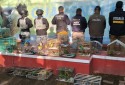Opera&ccedil;&atilde;o contra crimes ambientais e tr&aacute;fico de animais na Am&eacute;rica Latina e no Caribe - Interpol/Divulga&ccedil;&atilde;o