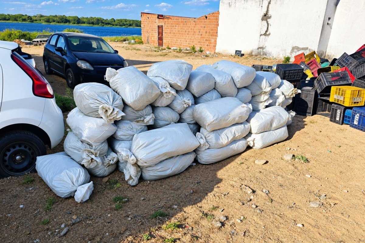 Droga estava escondida dentro de engradados/Foto: Divulgação/PRF