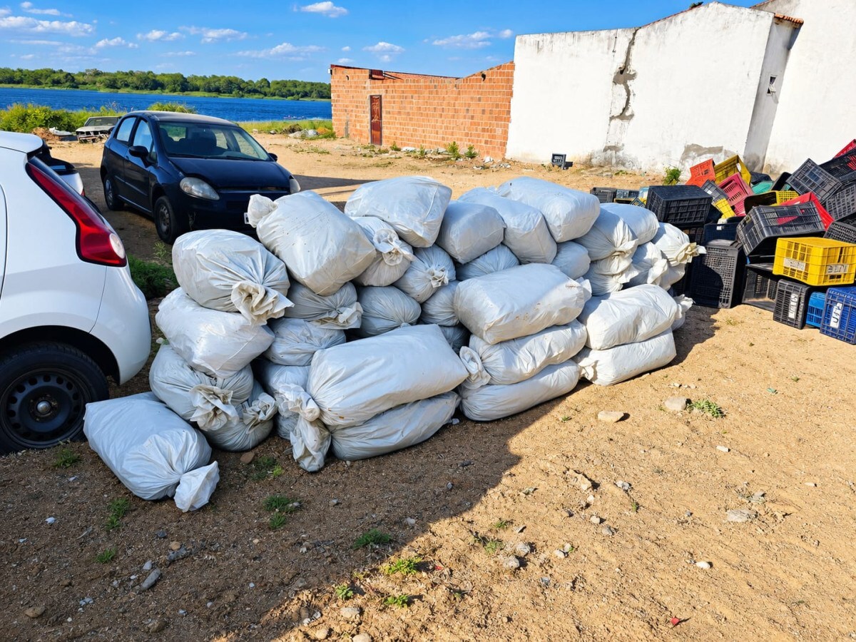 PRF e pol&iacute;cia da Bahia apreendem 323 Kg de maconha em caminh&atilde;o com engradados - Foto: Divulga&ccedil;&atilde;o/PRF