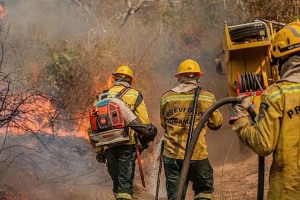 Inc&ecirc;ndios florestais no Amazonas