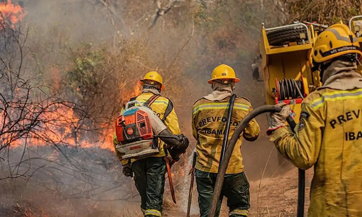Incêndios florestais no Amazonas/Vinícius Mendonça/Ibama
