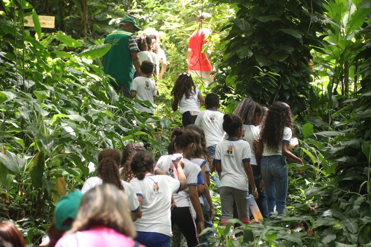Crian&ccedil;as andando na Mata, em Passarinho/Foto: Secom/Olinda 