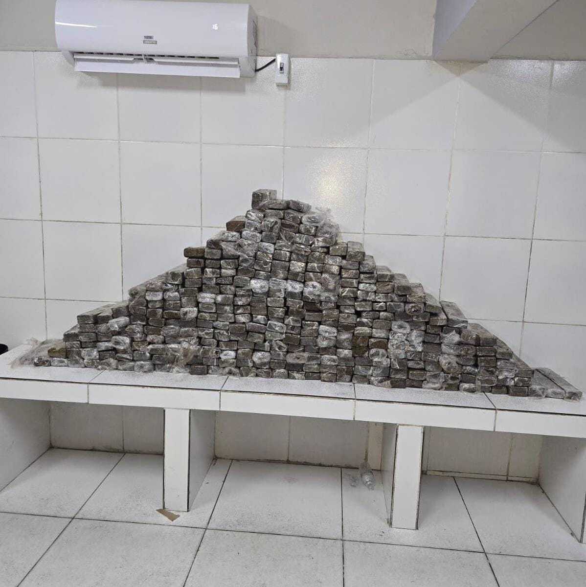 Cerca de 283 kg de maconha s&atilde;o apreendidos em caminh&atilde;o na Zona Norte do Recife - Foto: Divulga&ccedil;&atilde;o/PMPE