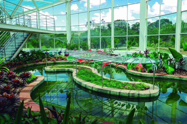 'Jardim Fragil', do cubano Carlos Garacoia (Foto: Andrea Rego Barros)