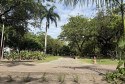 Parque da Jaqueira, onde acontecer&aacute; a a&ccedil;&atilde;o do HML neste domingo (18) - Foto: Divulga&ccedil;&atilde;o/Ascom Hospital Maria Lucinda
