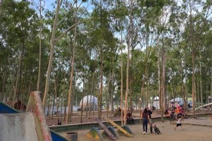 Programa&ccedil;&atilde;o ocorre no Parque Euclides Dourado.