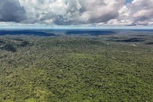 Inpe: desmatamento na Amaz&ocirc;nia e no Cerrado atinge menor n&iacute;vel da s&eacute;rie hist&oacute;rica