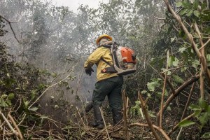 Fuma&ccedil;a provocada por inc&ecirc;ndios levou a prefeitura de Manaus a orientar crian&ccedil;as, idosos e gestantes a evitar a exposi&ccedil;&atilde;o ao ar polu&iacute;do