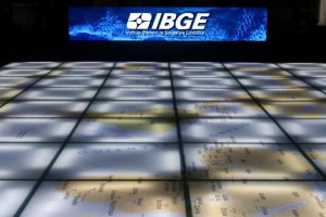 Instituto Brasileiro de Geografia e Estat&iacute;stica (IBGE)