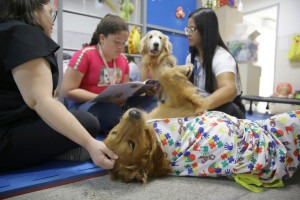 Proposta terap&ecirc;utica de leitura com as cachorras Sophia e Cacau