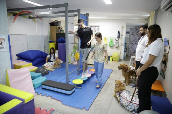 Cadelas participam de terapias no Hospital dos Servidores do Estado