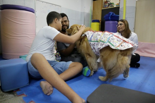 Cadelas participam de terapias no Hospital dos Servidores do Estado