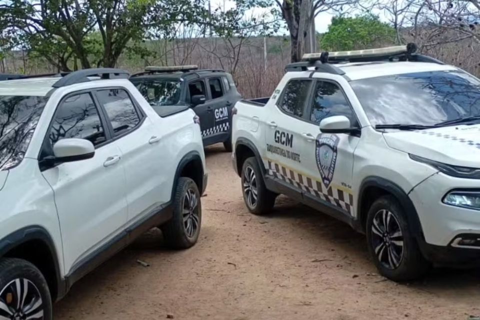 Resgate foi feito pela Guarda Civil Municipal (GCM) de Taquaritinga do Norte, em operação conjunta com a Guarda Civil Municipal (GCM) de Brejo da Madre de Deus/Foto: Reprodução/GCM Brejo da Madre de Deus