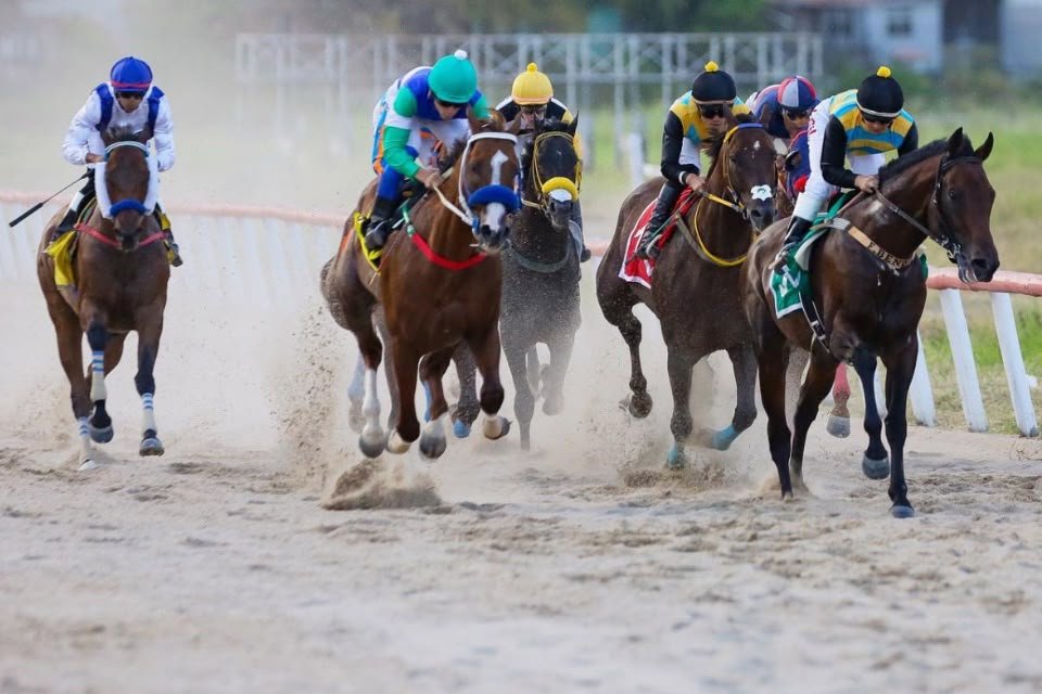 58&ordf; edi&ccedil;&atilde;o do Grande Pr&ecirc;mio Bento Magalh&atilde;es agita o Jockey Club de Pernambuco neste s&aacute;bado (24) - Acervo DP