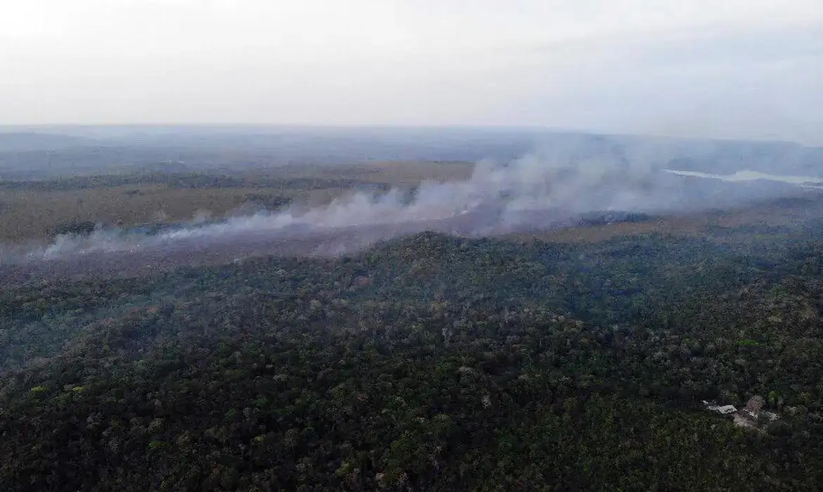 Pará tem 321 eventos de fogo ativos, distribuídos em 76 municípios/Brigada de Alter do Chão (PA)/Divulgação