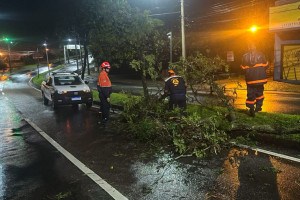 &Aacute;rvores ca&iacute;das provocaram problemas no tr&acirc;nsito de Jundia&iacute;