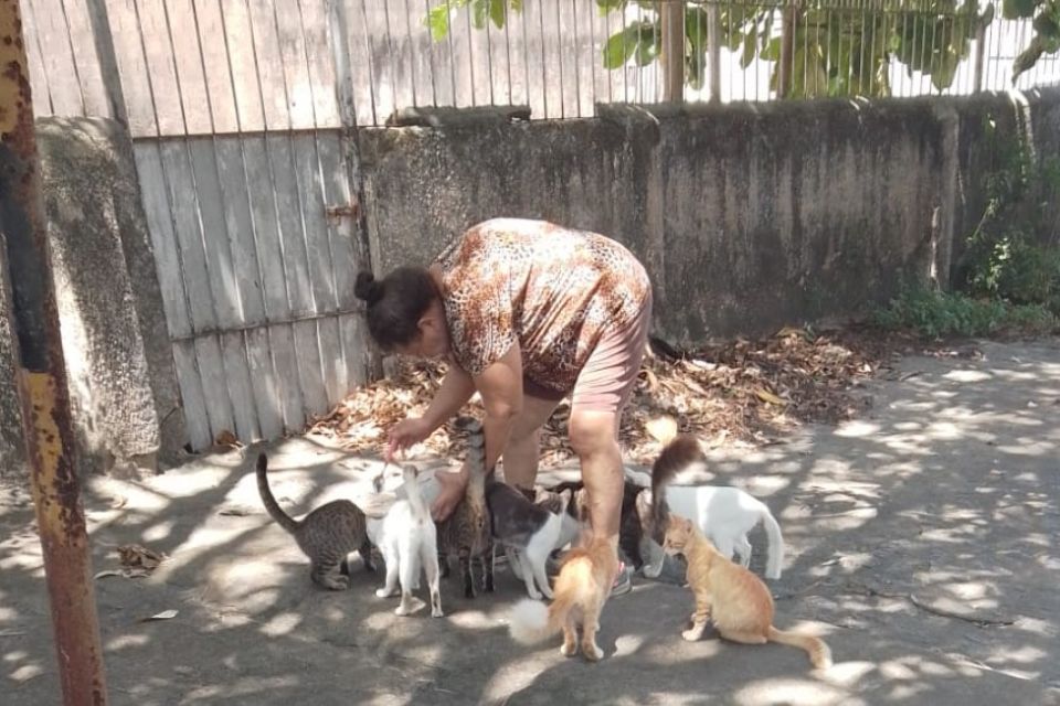 Dona Lana Lessa e os gatos que moram nos prédios-caixão/Foto: Cortesia