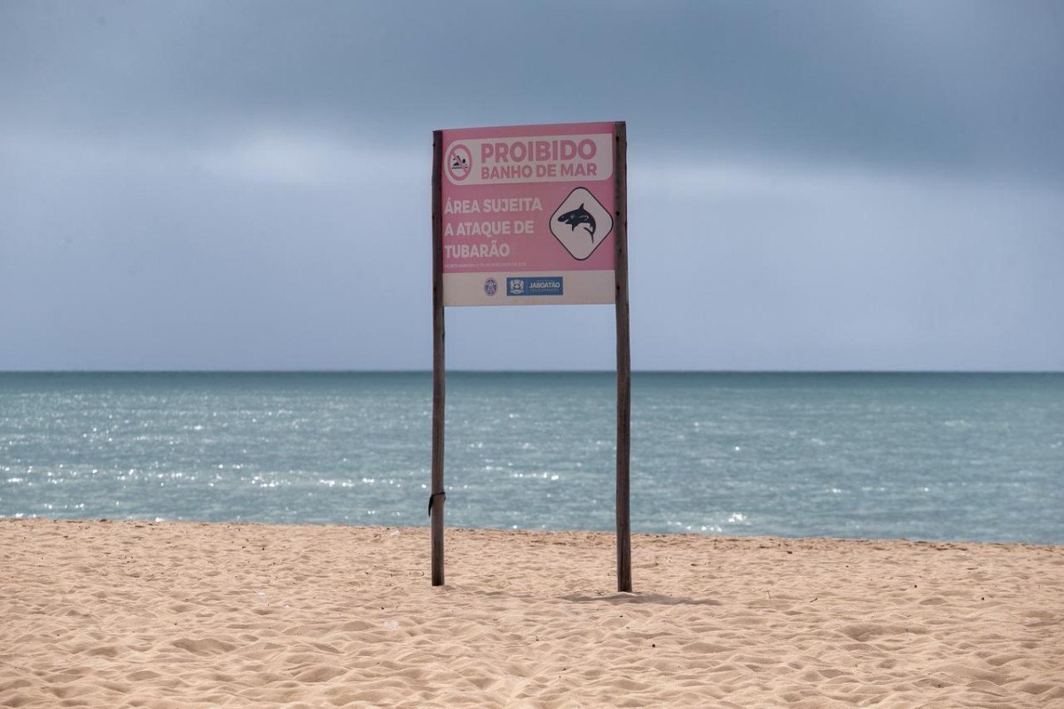 Feriadão nas praias: veja os cuidados para evitar afogamentos e incidente com tubarões em Pernambuco
/Rafael Vieira/DP Fotos