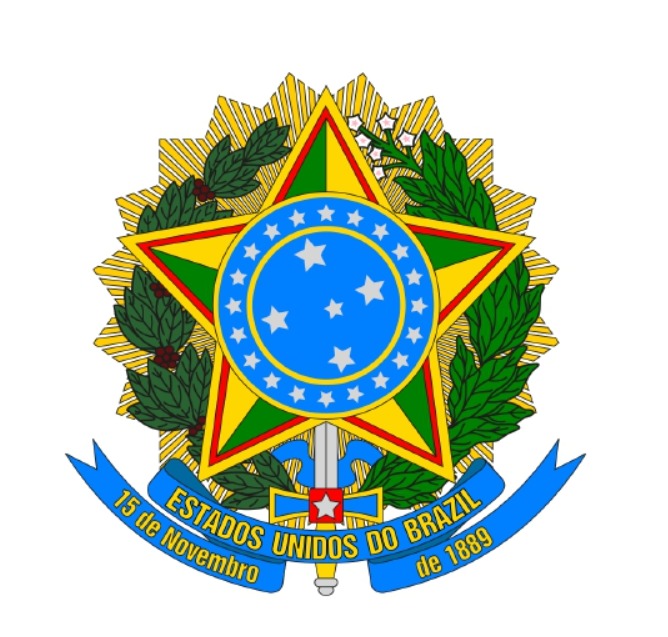 Eduardo Bolsonaro, segundo Figueiredo, pediu à IA que acrescentasse o brasão da República ao documento/Reprodução / X @FlavioBolsonaro