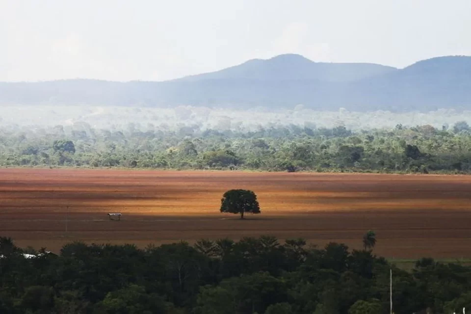Índices dizem respeito ao período total de desmatamentos de janeiro a dezembro (Foto: Marcelo Camargo/Agência Brasil)