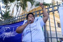 Caso Miguel:  me do garoto entra com recursos no TJPE por causa da reduo de pena de Sar Corte Real (Foto: Ruan Pablo/DP)