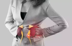 Paciente renal deve ter cuidado ao consumir peixes e frutos do mar (foto: Freepik )