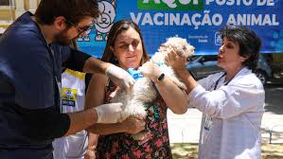 Ces podero ser vacinados  (Foto: Arquivo )