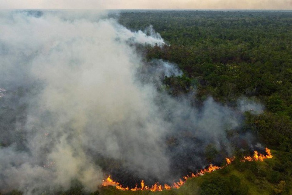 
Estudo estima que entre 10% e 47% da floresta amaznica estaro expostos a ameaas graves at 2050 (foto: AFP)