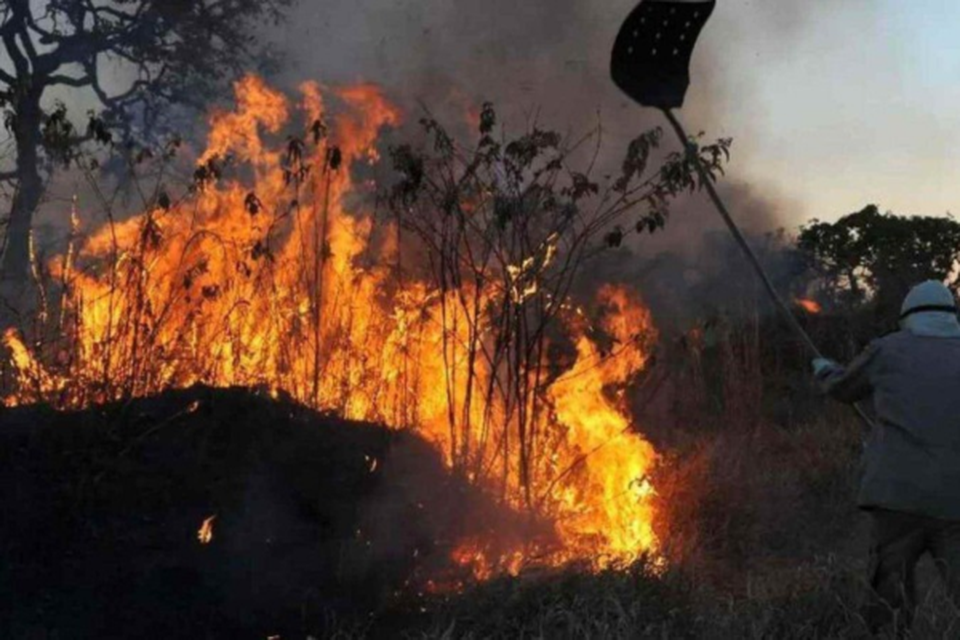 Brigadista combate incndio em Mato Grosso: Ministrio Pblico requereu na Justia o reforo de 450 homens, alm de aeronaves e mais verbas (
Crdito: Valter Campanato/Agencia Brasil
)
