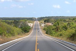 Sete rodovias em Pernambuco integraram ao de podas de rvores, diz Sindicato Nacional dos Cegonheiros ( Arquivo/DP)