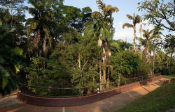 Após dois anos, Parque da Ciência Butantan reabre ao público  (Foto: Divulgação/Governo de São Paulo. )