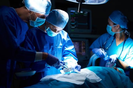 Paciente retira rim de porco transplantado aps perodo recorde de quatro meses