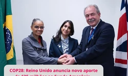 Reino Unido anuncia mais R$ 215 milhes para o Fundo Amaznia (Foto: UK in Brazil/Twitter)