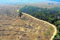 Desmatamento na Amazônia Legal bate recorde dos últimos 15 anos (Foto: Carlos Fabal/AFP)