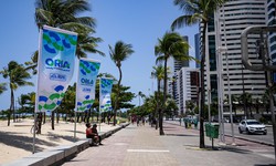 Prefeitura do Recife cancela licitação de obra na orla de Boa Viagem (Foto: Rafael Vieira/DP foto)