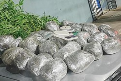 Trs pessoas so presas por trfico de drogas; detento coordenava distribuio de entorpecentes (Foto: Divulgao/PCPE)