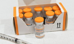 Covid-19: DF começa hoje vacinação de crianças (Foto: Paul Hennessy / SOPA Images / Sipa USA)