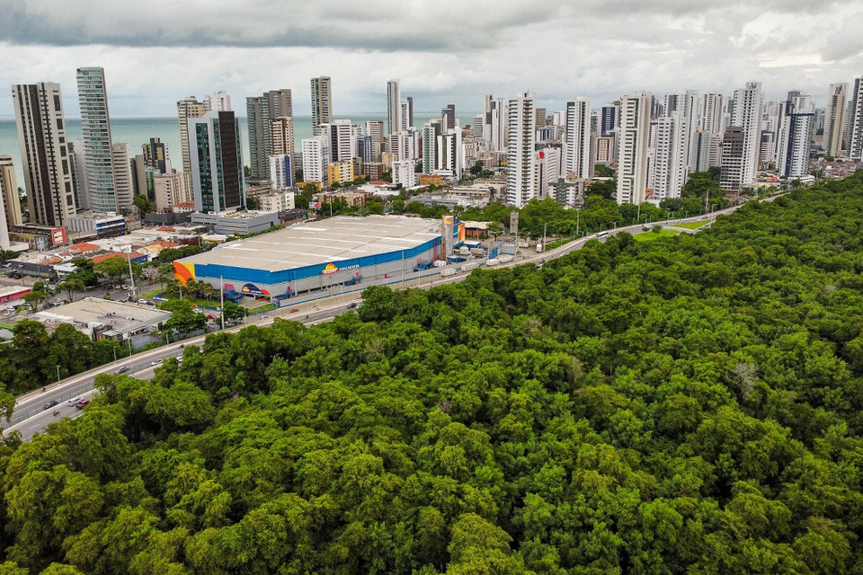 De acordo com a Prefeitura do Recife, o município possui um índice de habitação de 100% e é a 12ª cidade brasileira mais densamente povoada (Foto: Rafael Vieira/DP) De acordo com a Prefeitura do Recife, o município possui um índice de habitação de 100% e é a 12ª cidade brasileira mais densamente povoada (Foto: Rafael Vieira/DP)
