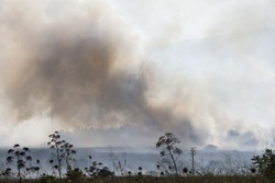 Fumaa sobe de um incndio em um campo depois que foguetes lanados do sul do Lbano caram nos arredores de Katzrin, nas Colinas de Gol, anexadas por Israel