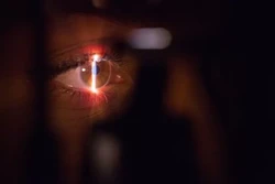 Glaucoma: como detectar e tratar doença que pode levar à cegueira (Foto: Unsplash/Divulgação)