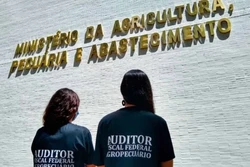 Auditores federais agropecuários podem entrar em greve na semana que vem (crédito: Divulgação/Anffa Sindical)